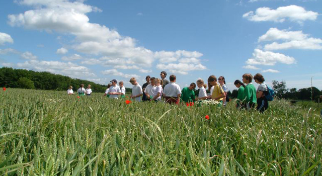 School children in a field